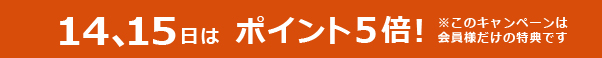 ポイント5倍
