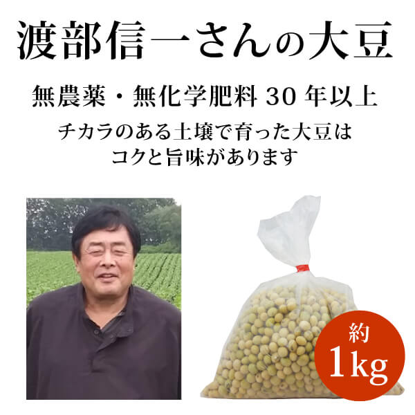 渡部信一さんの大豆約1kg 無農薬 大豆 音更大袖 オトフケオオソデ 北海道産