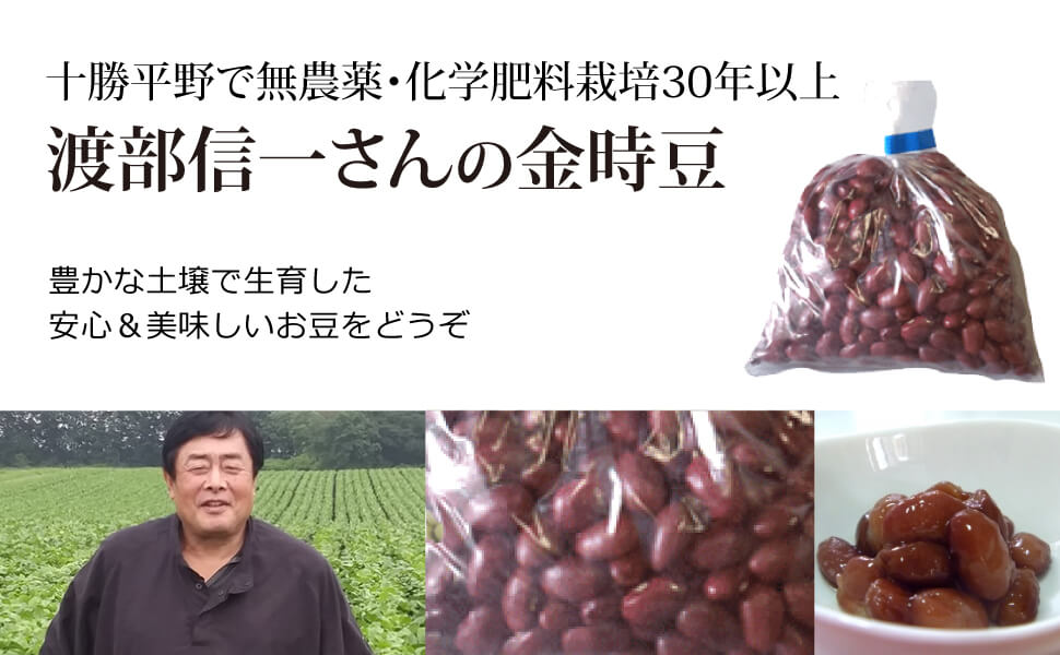 渡部信一さんの無農薬金時豆約5kg  無農薬・無化学肥料栽培30年の金時豆（北海道産） 