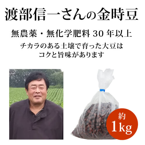 北海道で無農薬栽培30年の渡部信一さんと無農薬金時豆