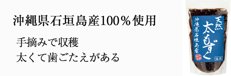 沖縄県石垣産天然太もずく（塩蔵） 500g