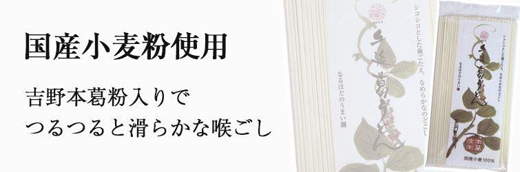 手延葛うどん200g